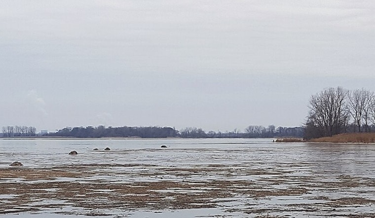 Motor City Weather Whiplash: Gusty Sunday Storms To Freezing Tuesday Crash