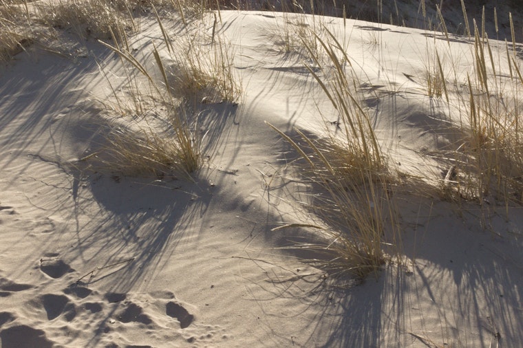Mount Baldy Parking Buried by Sand at Indiana Dunes