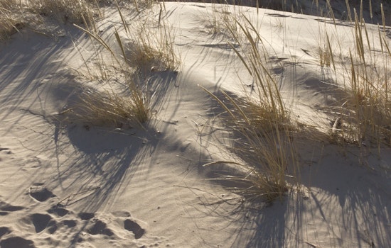 Mount Baldy Parking Buried by Sand at Indiana Dunes