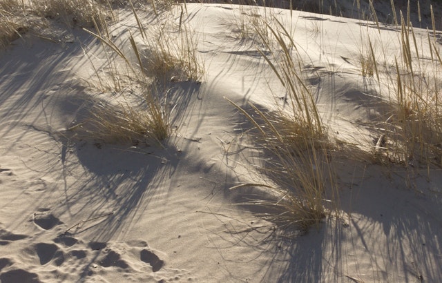 Mount Baldy Parking Buried by Sand at Indiana Dunes