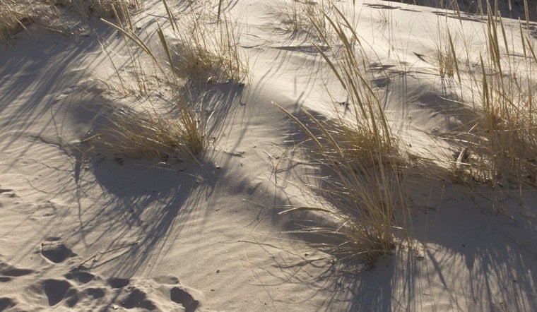 Mount Baldy Parking Buried by Sand at Indiana Dunes