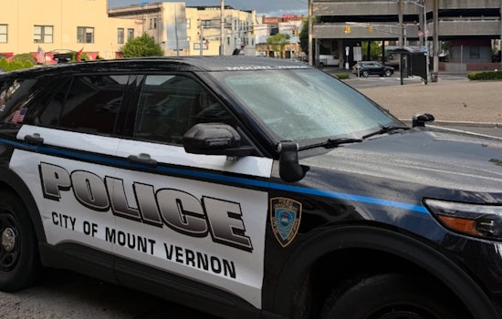 Mount Vernon Detective Cuffed In Quiet Long Island Gang Probe