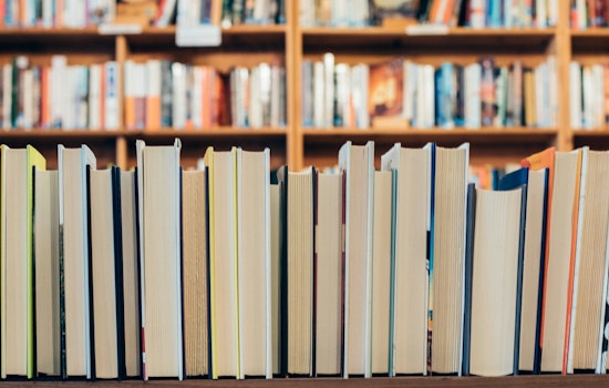Murfreesboro Library Boss Axed in Clash in Clash Over Kids' Books