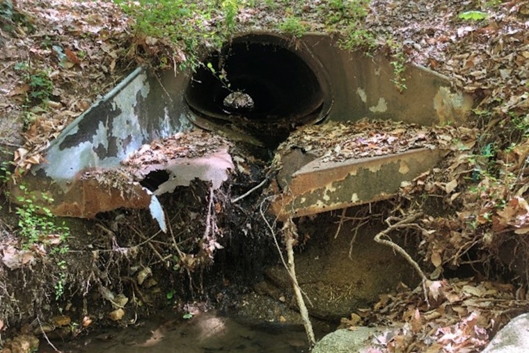 Mystery Gunk In Rock Creek Has Northwest D.C. On Edge