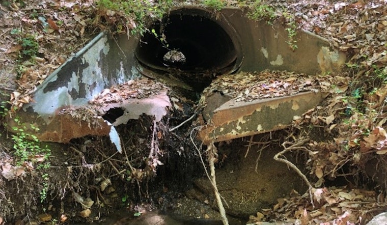 Mystery Gunk In Rock Creek Has Northwest D.C. On Edge