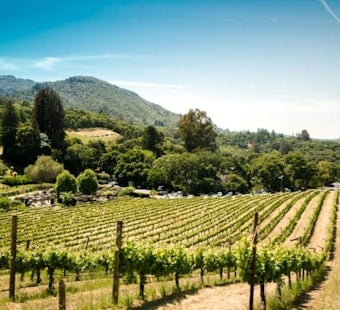 Napa Valley Fest Pops Cork On 20th Summer With Vineyard Opera World Premiere