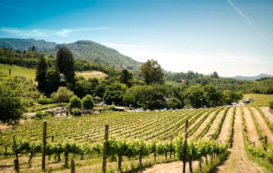Napa Valley Fest Pops Cork On 20th Summer With Vineyard Opera World Premiere