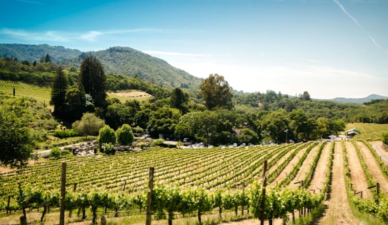 Napa Valley Fest Pops Cork On 20th Summer With Vineyard Opera World Premiere