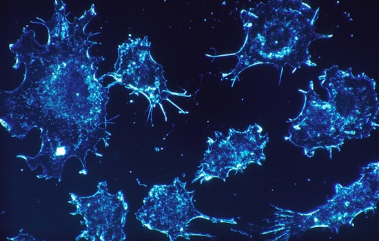 New Cancer Hot-Spot Maps Put East Harris County Under the Microscope