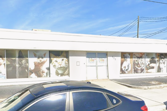 New Orlando Mega-Shelter Gives Fire-Ravaged Pet Alliance A Second Life On John Young