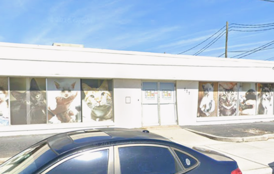 New Orlando Mega-Shelter Gives Fire-Ravaged Pet Alliance A Second Life On John Young