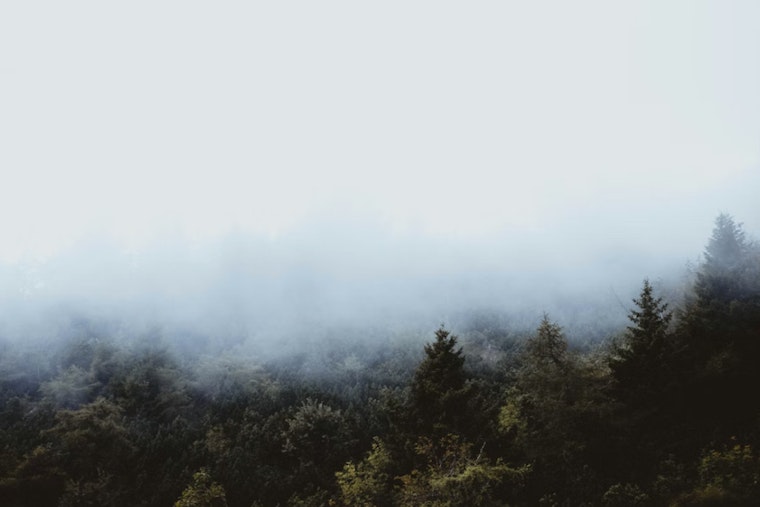 New Orleans Wakes Up in a Fog as Swampy Heat Builds This Week