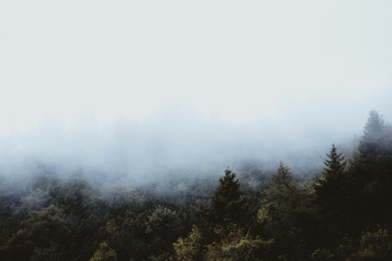 New Orleans Wakes Up in a Fog as Swampy Heat Builds This Week