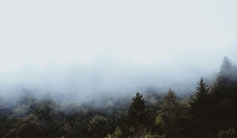 New Orleans Wakes Up in a Fog as Swampy Heat Builds This Week