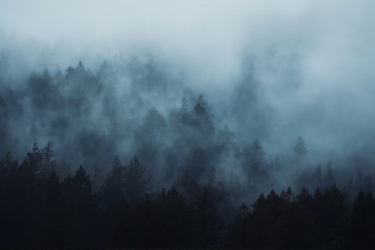Thick Fog Smothers New Orleans Morning Before Blustery Fire‑Risk Weekend