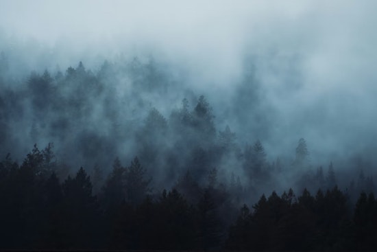 Thick Fog Smothers New Orleans Morning Before Blustery Fire‑Risk Weekend