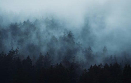 Thick Fog Smothers New Orleans Morning Before Blustery Fire‑Risk Weekend