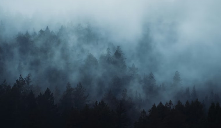 Thick Fog Smothers New Orleans Morning Before Blustery Fire‑Risk Weekend