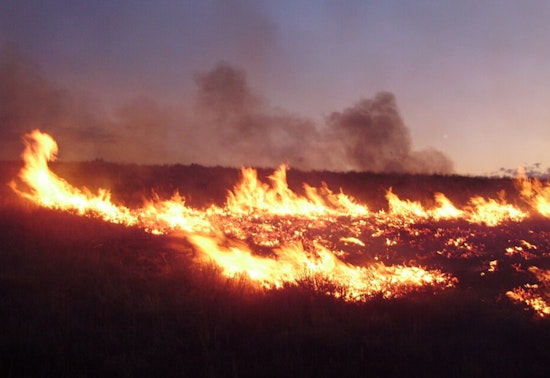 New Wildfire Reported in Los Angeles County Backcountry