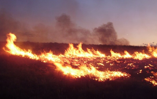 New Wildfire Reported in Los Angeles County Backcountry