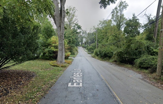 Newtown Square Road Turns Deadly as Storm-Slammed Tree Crushes Car