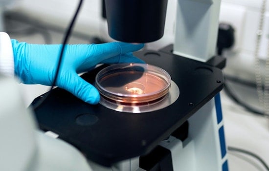 NIH Cash Crunch Slams Chicago Labs As Illinois Funding Sinks 12 Percent