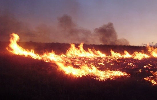North Chicago Trackside Fires Send Smoke Across Suburbs, Halt Metra Service