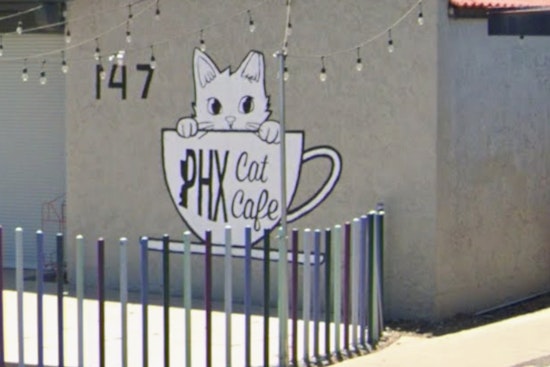 North Phoenix Goes Full Purr As PHX Cat Cafe Rolls Out Second Spot