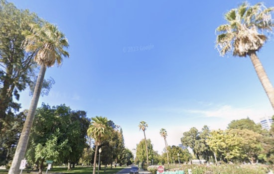 North Winds Roar While Sacramento Sneaks In A Springlike Weekend