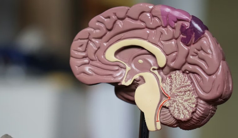 Northwestern Researchers Link Fructose Metabolism To Glioblastoma Growth
