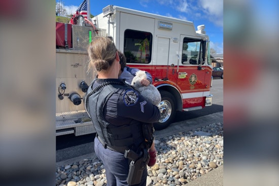 Novato Toddler Kidnap Drama Ends With Arrest, Child Safe