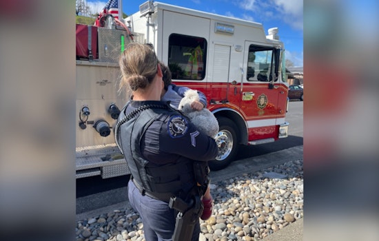 Novato Toddler Kidnap Drama Ends With Arrest, Child Safe