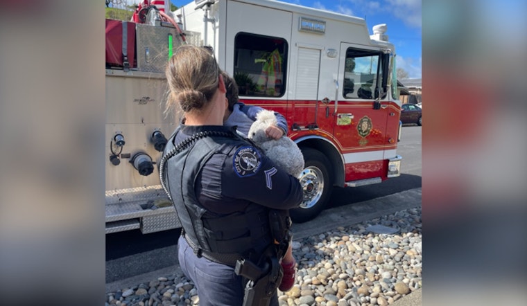 Novato Toddler Kidnap Drama Ends With Arrest, Child Safe
