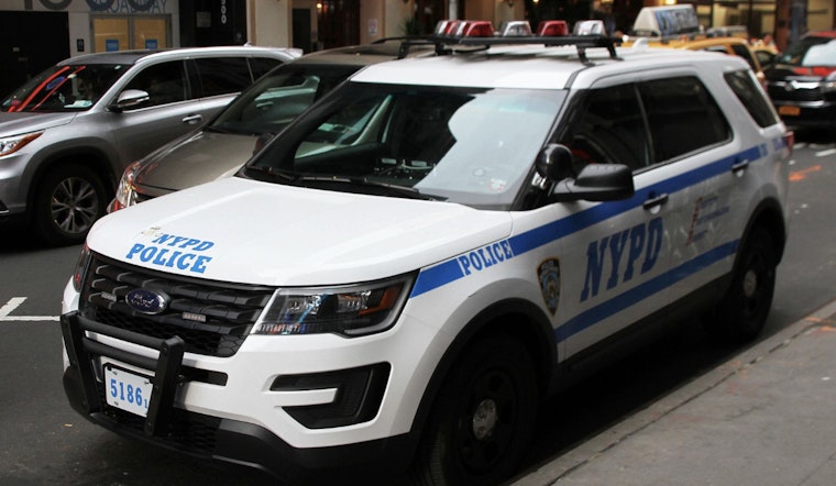 NYPD Hunts Trio Tied To Cross-Borough Grand Larceny Spree