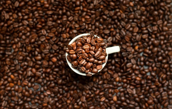 Oak Lawn's New Coffee Chapel Brews Faith, Foam And First Jobs