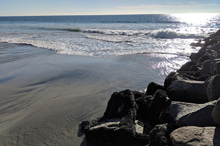 Oceanside Surf Coach Leaps From Jetty To Save Father, Daughter From Rip