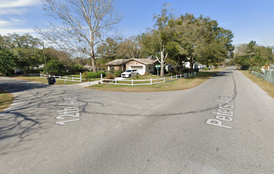 Ocoee Hit-and-Run Arrest: Woman Charged After Pedestrian Injured