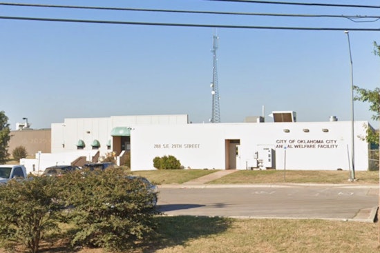 OKC Shelter In Dog Jam As Kennels Hit Breaking Point