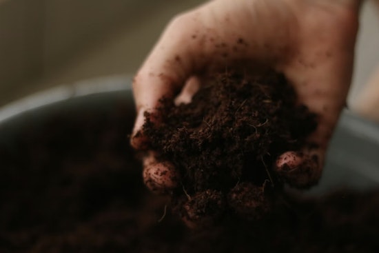 Oklahoma House Backs Turning Loved Ones Into Garden Soil