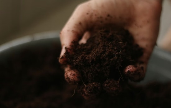 Oklahoma House Backs Turning Loved Ones Into Garden Soil