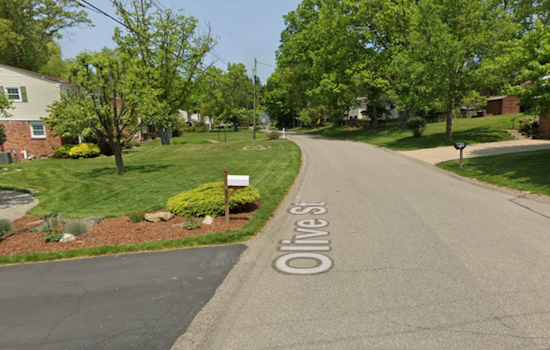 Olive Street Locked Down As Late‑Night SWAT Siege Jolts McCandless