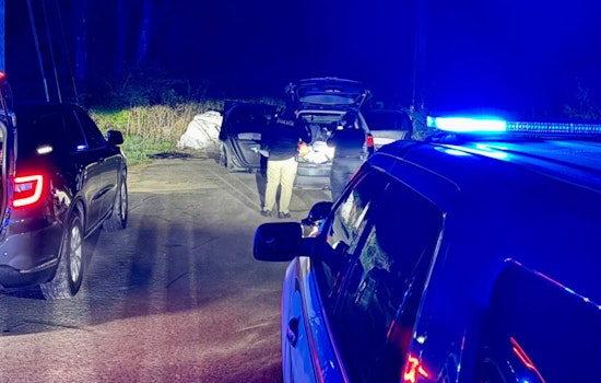 Online Mt. Juliet Hilton Meet-Up Turns Gunpoint Heist, Cops Nab Four
