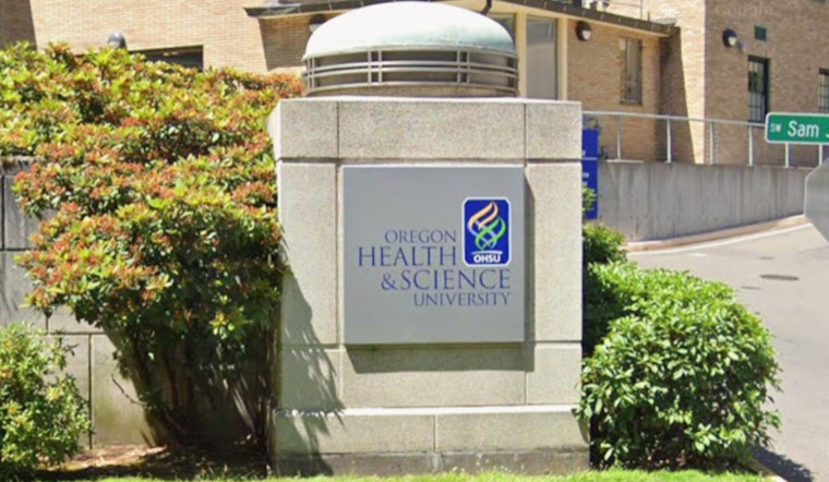 Oregon Clinics Skip Key Questions On Anxiety And Partner Violence, Study Warns