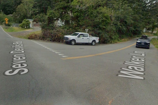 Oregon Coast Road Turns Into Slippery Sea Of Fish Near Bandon