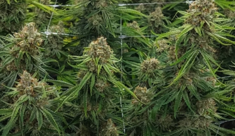 Oregon Weed Player Snags Shuttered Dwight Grow House In Illinois Push