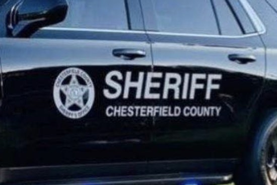 Pageland Toddler Airlifted After Vicious Dog Mauling, Owner Busted Again