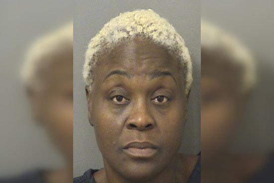 Palm Beach Prosecutors Drop Case Against Dwyer Bus Aide In Student Fight