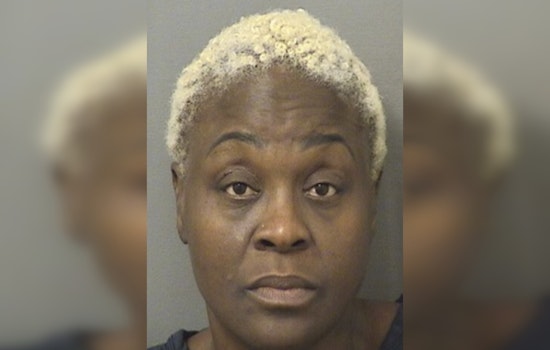 Palm Beach Prosecutors Drop Case Against Dwyer Bus Aide In Student Fight