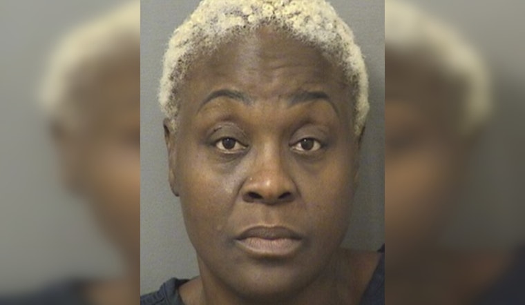 Palm Beach Prosecutors Drop Case Against Dwyer Bus Aide In Student Fight