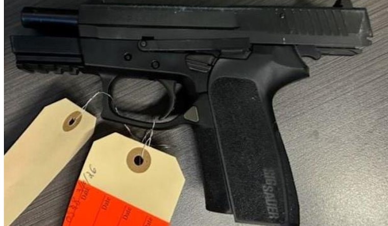 Palomar Mountain Shooting Suspect Nabbed At San Diego Airport